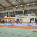 dnio 44